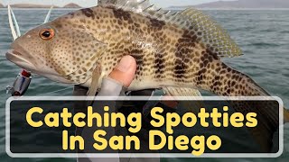 FISHING: March Fishing in San Diego | Fishing Spotted Bay Bass in San Diego, California