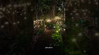 Bioluminescence Garden