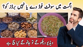 Birds Ko Kis Mosam Soft Food Dena Chahiye | Love Bids Soft Food