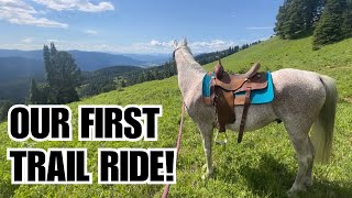 Arabian HORSE 🏔️ Trail riding in MONTANA!     POV