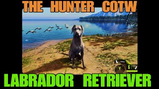 THE HUNTER COTW LABRADOR RETRIEVER Español