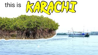 Karachi k pani main jungle | amazing place in karachi | mangrove forest in karachi