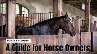 A Guide for Horse Owners Horse Breeding  #secretanimals  @secret_animals