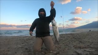 surfcasting ψάρεμα για λαβράκι με μάνα