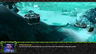 Warcraft 3 The Frozen Throne Sentinels Campaign Terror Of The Tides Interlude Malfurion's Vision