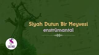 Siyah Dutun Bir Meyvesi - Enstrümantal Fon Müziği | Turkish Instrumental Music