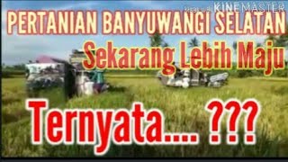 PERTANIAN BANYUWANGI SELATAN//MAJU PESAT