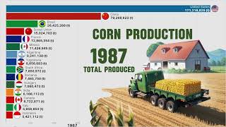 Top Countries By Corn Production in The World