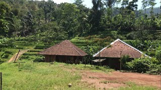 Begitu Nyaman Pemandangannya,, sangat sejuk dan indah | Suasana Alam Pedesaan Jawa Barat