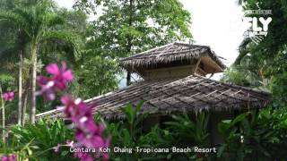 12FLY TV - Natalia at Centara Koh Chang Tropicana Beach Resort