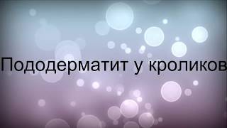 Пододерматит у кроликов.ПРОФИЛАКТИКА И ЛЕЧЕНИЕ