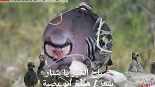 صباح الخير يا شنار شعر من فلسطين