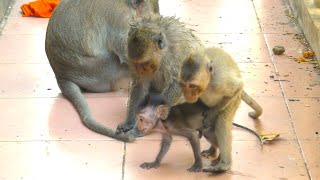 How Great This Lovable Baby Is!, Mother Performs Best Actions With Old Generations