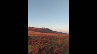 Sunset in Bradgate Park, Leics. Days out with Dawkins and Kearney! 🐕💙🥰