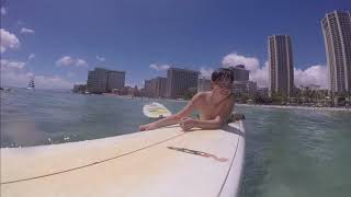 Surf lesson with a turtle in Waikiki