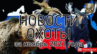 Новости охоты за ноябрь 2021 года