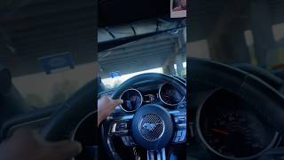 MUSTANG GT W/ BORLA CATBACK ASMR!!! 🐎🔥😮‍💨 #shorts