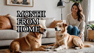 🔴 How To Make $7,000/Month With Home Dog Boarding (Step By Step)