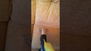 Upholstery cleaning Scunthorpe axholme cleaning