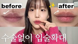 Sub 티안나게 예뻐지는 입술타투 리얼후기⚠️오버립타투 vlog