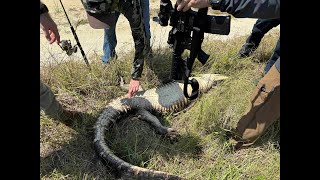 Gator and Snapper Hunting