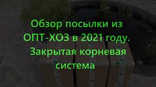 2часть.  Обзор посылки из ОПТ- ХОЗ с закрытой корневой системой