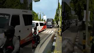 Telolet bus Tahu bulat| #shortsfeed #teloletbasuri #teloletbus #teloletviral