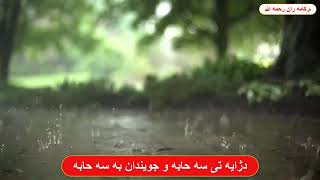 مامۆستا کامەران کەریم چاوشین،دژایەتی و جوێندان بەسەحابە