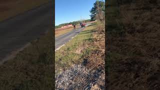 Minibike vs Polaris 450