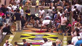 Alfombras de La Orotava