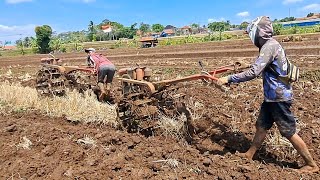 Traktor impala vs boxer saling kejar saat nyingkal lahan kering