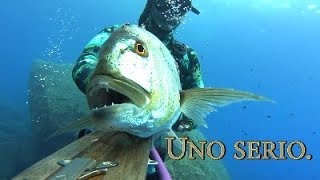 Pesca sub   :   ✴Uno serio. (Sud Sardegna)