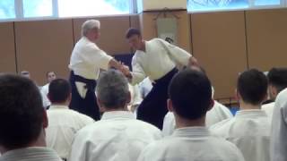 Irimi nage by Y. Yamada - Sofia 2017