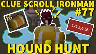 ANOTHER MEGA RARE CLUE ROLL?! - Clue Scroll Ironman #77 (Hound Hunt)