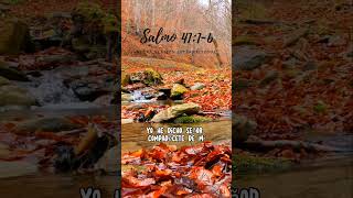 Promesas Bíblicas: Salmo 41:1-6 #bible #biblia #jesus #cristo #diosteama #cristianos #evangelico