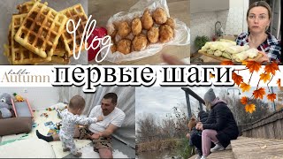 VLOG: Кормим УТОК/Едим ХЛЕБ/Готовлю ГОЛУБЦЫ/Про ВЕНЧАНИЕ/Покупки