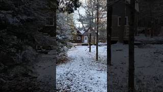 Discovering Our Cozy Cabin in the Snowy Woods! #offgridliving