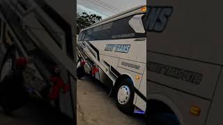 cinematic bus pariwisata nafit trans