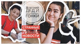 СТРАННЫЕ КИТАЙСКИЕ НОВОСТИ || МОЛОДЫЕ АЗИАТЫ, ХА ХАЙ И ГОЛУБИНЫЕ ГОНКИ