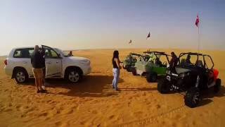 Sand Dune Buggy Adventure in Al Faqa Desert