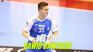 Best of Dawid Dawydzik | Wisla Plock | 2023/2024