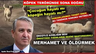 KÖPEK TERÖRÜNDE SONA DOĞRU - “Çocuğun hayatı mı köpeğin hayatı mı?”