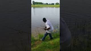 Trophy Pond Bass on ultralight rod