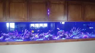 Aquarium Cabinets