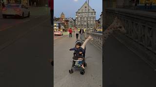 Sunday evening in zurich Switzerland #zürich #zurich #travel #switzerland #travelvlog #viral #cute