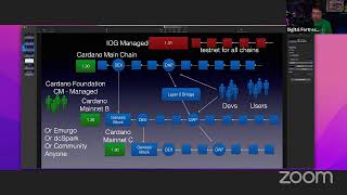 Cardano L1 Congestion: Possible Long Term Solution