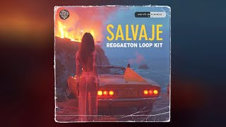 [FREE] REGGAETON LOOP KIT 2024 - "SALVAJE" (Bad Bunny, Feid, Myke Towers, Tainy)