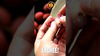 Lychee! #viral #tasty #yumme #food #shorts #shortsfeed #trend #shortsvideo #lychee #like #subscribe