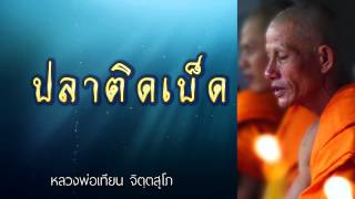 ปลาติดเบ็ด – วิปัสสนา - หลวงพ่อเทียน จิตฺตสุโภ - ชุด ความรู้สึกตัว CD1-27