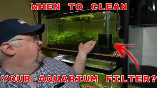 How Often Should You Clean Your Aquarium Filter?